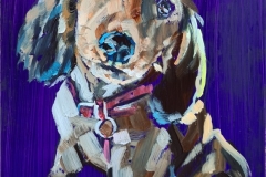 Doggie2-2020-165mm-x-135mm-oil-on-ply
